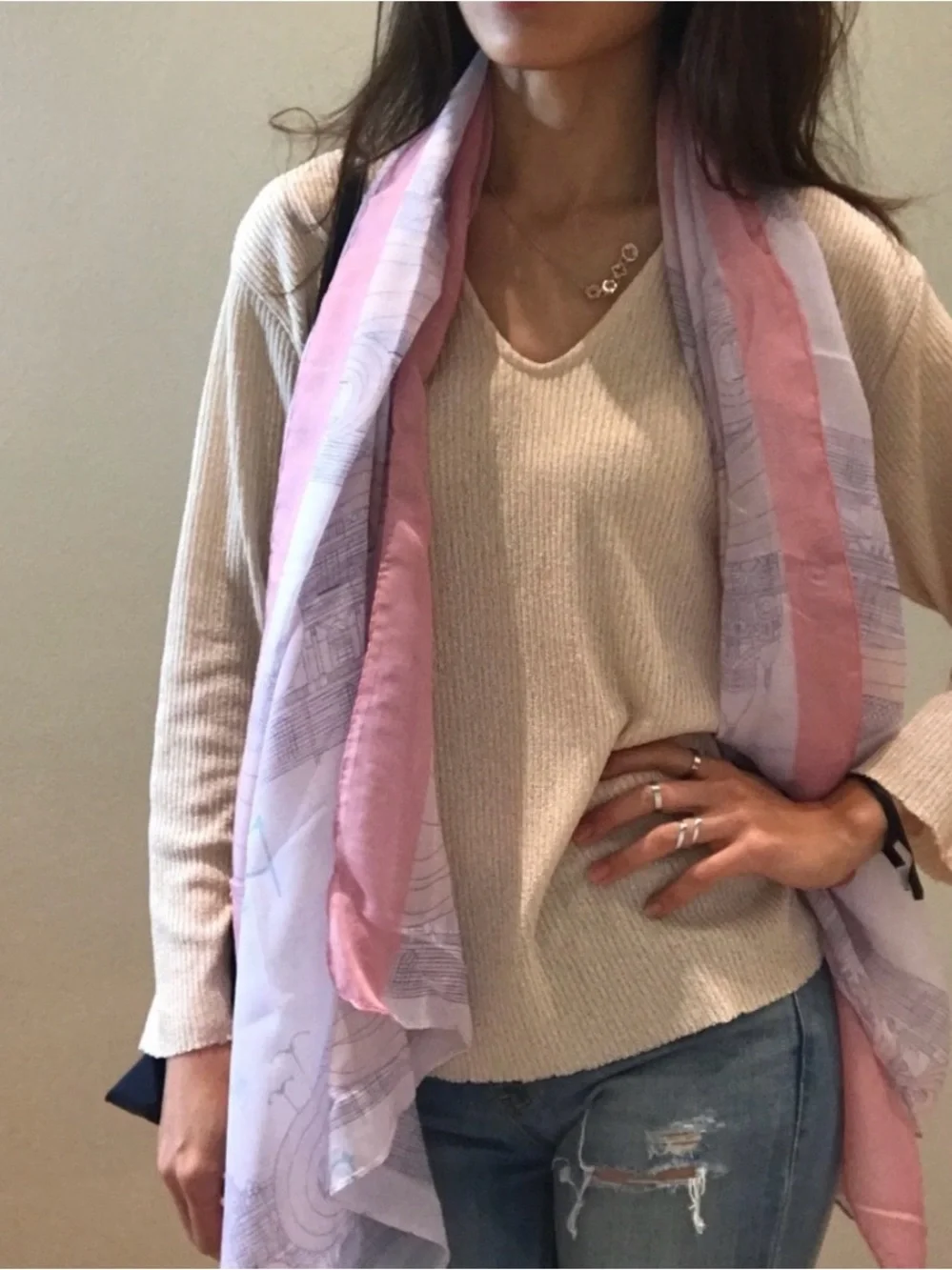Brand New Paris scarf